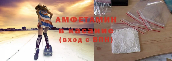 прущие грибы Краснослободск