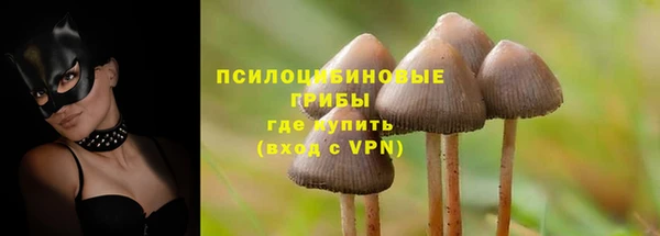 прущие грибы Краснослободск