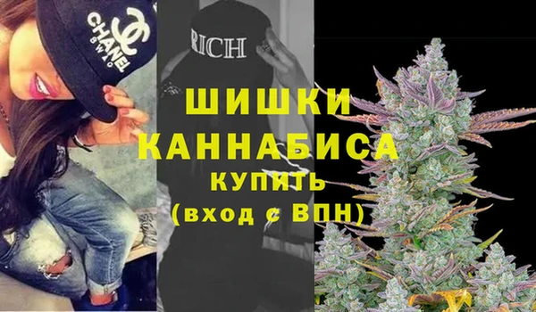 прущие грибы Краснослободск
