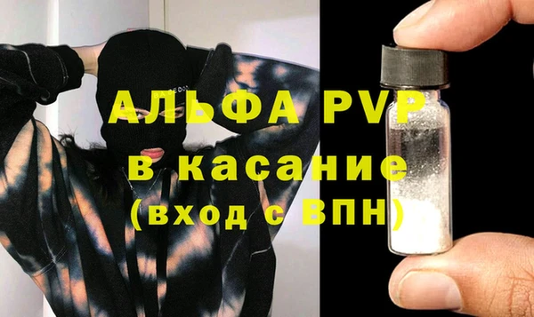 прущие грибы Краснослободск
